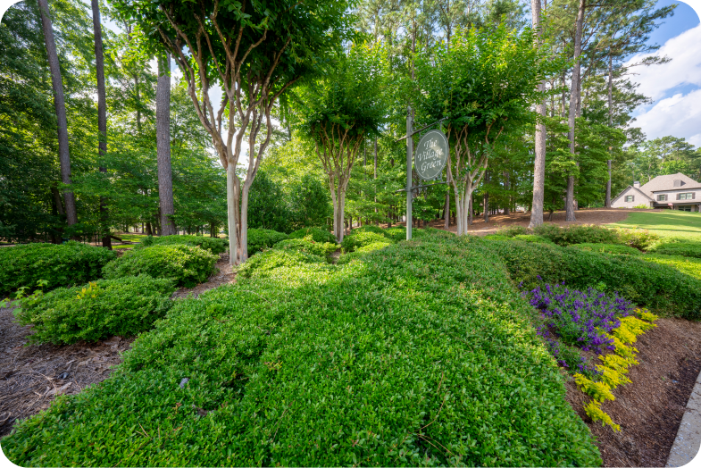 The village green forest